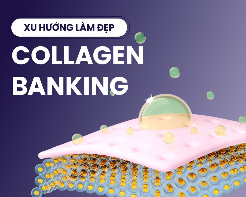 Collagen Banking là gì? Xu hướng & Phương pháp dự trữ Collagen cho làn da 1 Collagen Banking là gì?