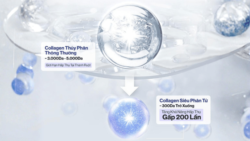 thuc-pham-tang-sinh-collagen-2